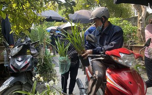 Rừng xơ xác bởi các "thợ săn" phong lan rừng, hoa lan rừng trong sách Đỏ có loài đã tuyệt chủng