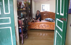 Người dân thôn Bùi Xá, Hà Nội, nấu cơm, ngủ bập bềnh trong nước lũ