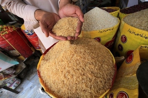 Ấn Độ xem xét dỡ bỏ các hạn chế đối với xuất khẩu gạo