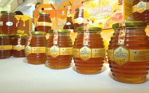 Nghề nuôi ong lấy mật ở Phổng Lái