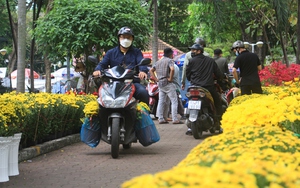 ẢNH: Cúc, đào vừa xuống chợ hoa xuân, người Sài Gòn rinh về chơi Tết sớm