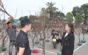 Hoa, cây cảnh Tết Nguyên đán 2023 ở Thái Nguyên: Nhu cầu cao, nhưng giá nào được "ưng cái bụng"?