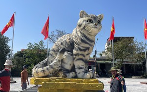 Linh vật mèo ở Quảng Trị nhận "cơn mưa" lời khen