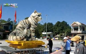 Clip: “Hoa hậu mèo” Tết Quý Mão xuất hiện ở Quảng Trị