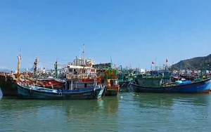 Tàu đánh cá Khánh Hòa nườm nượp vươn khơi kiếm &quot;lộc&quot; xuyên Tết
