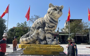 Linh vật mèo ở Quảng Trị nhận "cơn mưa" lời khen 