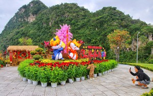 Rực rỡ sắc màu Tết tại chân núi Ngũ Hành Sơn khiến nhiều du khách thích thú check in