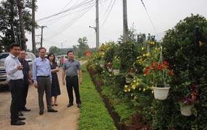 Đường nông thôn mới trồng hoa, có cả hoa treo rực rỡ ở Đồng Nai, ai qua cũng ngắm nhìn