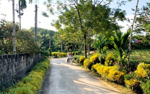 Nông thôn mới Thái Nguyên có những con đường hoa đi qua đã thấy mê lắm rồi