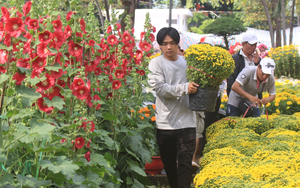 Diễn biến lạ chợ hoa Tết Sài Gòn: &quot;Chưa thấy năm nào như năm nay&quot;