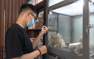 Dịch vụ chăm sóc thú cưng kín khách dịp Tết 