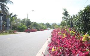 Đường hoa nông thôn mới đẹp mê tơi ở vùng quê Lâm Đồng