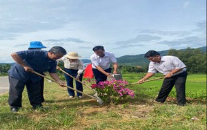 Một xã nông thôn mới ở Bình Định ra mắt con đường hoa giấy