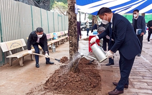 Quận Thanh Xuân tổ chức "Tết trồng cây đời đời nhớ ơn Bác Hồ" xuân Quý Mão năm 2023