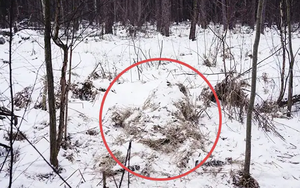 Ảnh lính bắn tỉa Ukraine trầm mình trong băng tuyết lạnh buốt để giữ vững vị trí gây xúc động mạnh