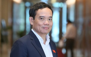 Phó Thủ tướng Trần Lưu Quang ký quyết định phê chuẩn kết quả miễn nhiệm 3 Phó Chủ tịch tỉnh