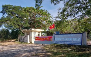 Nam công nhân tử vong ngày cận Tết ở Nhà máy chế biến tinh bột sắn tỉnh Ninh Thuận