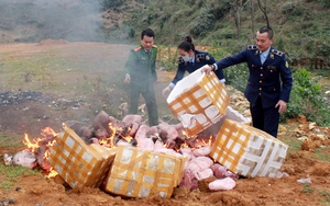 Lai Châu: Tiêu hủy gần nửa tấn mỡ lợn không rõ nguồn gốc
