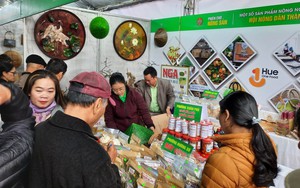Thừa Thiên Huế: 12 sản phẩm được chứng nhận OCOP cấp tỉnh năm 2022 