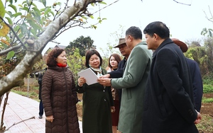 Phó chủ tịch Trung ương Hội Nông dân Việt Nam đánh giá cao mô hình cây ăn quả trên địa bàn Sơn La
