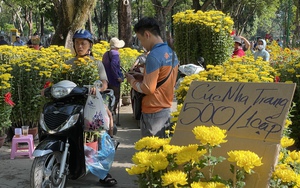 Chợ hoa Sài Gòn 30 Tết còn ê hề, nhà vườn bán rẻ như cho vẫn chẳng mấy người mua