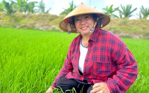 Điền chủ trồng lúa vùng Đồng Tháp Mười ở Long An cầm chắc tiền tỷ trong tay