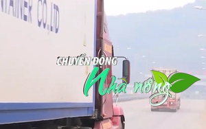 Chuyển động Nhà nông 24/1: Hơn 70 xe nông sản xuất khẩu qua cửa khẩu Kim Thành trong 2 ngày đầu năm