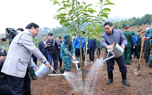 Thủ tướng phát động Tết trồng cây Xuân Quý Mão tại Khu di tích K9-Đá Chông