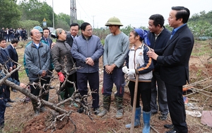 Thủ tướng hoan nghênh việc 3 Bí thư làm Trưởng Ban chỉ đạo giải phóng mặt bằng dự án Vành đai 4 Vùng Thủ đô