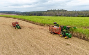 TTC AgriS đồng hành cùng nông dân phát triển bền vững vùng nguyên liệu