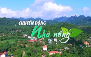 Chuyển động Nhà nông 28/1: 1,2 triệu cây xanh sẽ được người dân tỉnh Ninh Bình trồng trong năm 2023