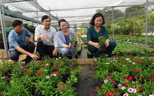 Hội Nông dân Hà Nội tạo sức lan toả từ 492 mô hình nông dân tham gia bảo vệ môi trường