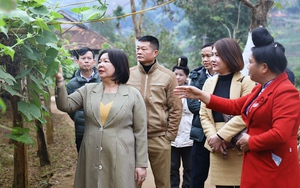 Phó Chủ tịch BCH TƯ Hội NDVN Cao Xuân Thu Vân nắm tình hình xây dựng nông thôn mới tại Sơn La