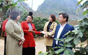 Video: Phó Chủ tịch Hội Nông dân Việt Nam làm việc với Hội Nông dân tỉnh Sơn La