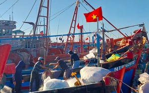 Ngư dân Ninh Thuận hối hả ra khơi đón &quot;lộc&quot; biển sau Tết