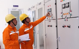Điện lực miền Nam: Dòng điện "chạy" an toàn, đầy đủ trong dịp Tết Nguyên đán