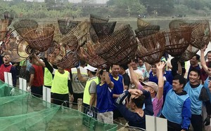 Độc lạ ở Phú Thọ: 200 "nơm thủ" vẫn lội đồng thi úp cá, đội vô địch bắt được tới 167kg