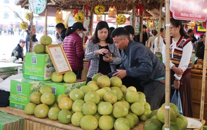 Một cơ sở ở Phú Thọ chuẩn bị tung ra thị trường hàng nghìn chiếc bánh chưng Tết đặc biệt