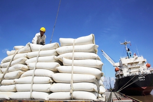 Nhiều tín hiệu tích cực cho xuất khẩu gạo năm 2023