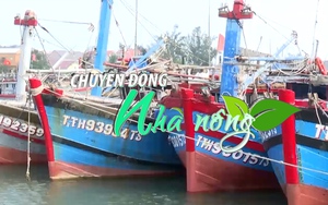 Chuyển động Nhà nông 7/1: Thu nhập tiền tỷ từ đánh bắt xa bờ ở Thừa Thiên Huế