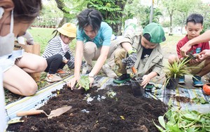 Cùng Hoa hậu H'Hen Niê lan toả tinh thần "Ngày hội yêu cây"