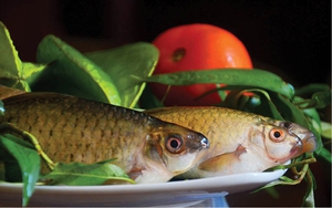 Loài cá tên nghe lạ ở TT-Huế, tới mùa từ đầu nguồn bơi từng đàn về xuôi dân bắt về nấu canh khế chua