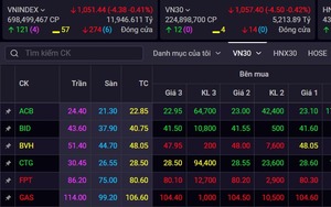 Sàn HOSE bốc hơi 1,8 triệu tỷ đồng vốn hóa trong năm 2022