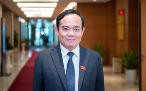 Bộ Chính trị cho Phó Thủ tướng Trần Lưu Quang thôi chức Bí thư Hải Phòng, giao nhân sự điều hành thay