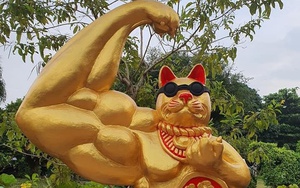 Linh vật mèo nhìn hài hước dịp Tết Quý Mão trên khắp Việt Nam