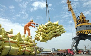 Sản lượng gạo toàn cầu xuống thấp nhất, cơ hội cho gạo Việt năm 2023