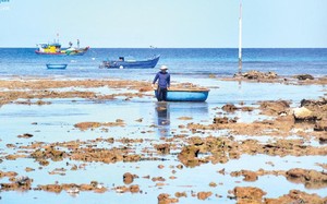 Vùng ven biển này ở Quảng Ngãi địa hình thế nào mà dân gian lại gọi là Hòn Ao