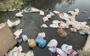 Thái Nguyên: Dân ngộp thở vì tình trạng vứt rác thải, xác động vật xuống suối Bến Cao