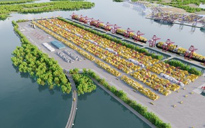 Một “ông lớn” Hàn Quốc quan tâm đầu tư cảng Cần Giờ, trung tâm logistics ở TP.HCM