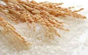 Tác động từ việc Ấn Độ hạn chế xuất khẩu gạo 'không nặng nề'